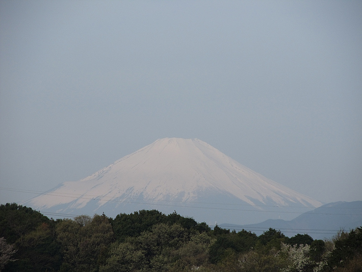 春の富士山